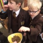 Bush Tucker Trial
